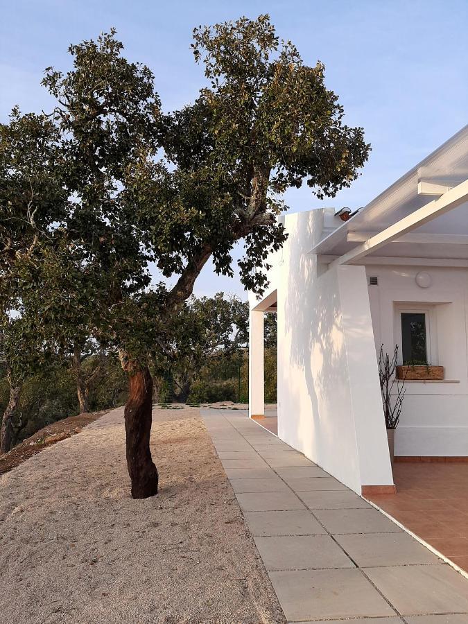 Monte Vale Manhas São Bartolomeu da Serra Exterior foto