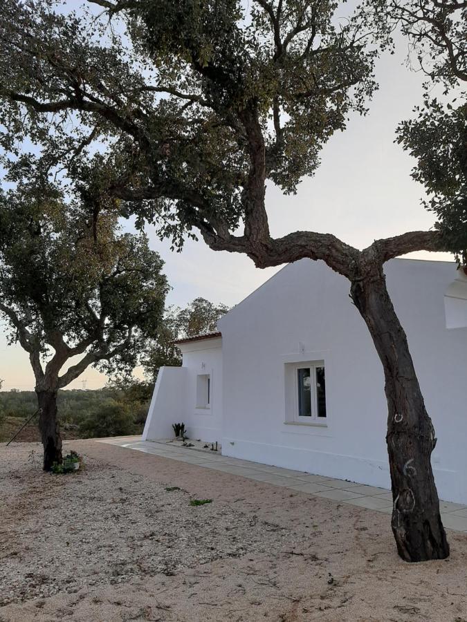 Monte Vale Manhas São Bartolomeu da Serra Exterior foto